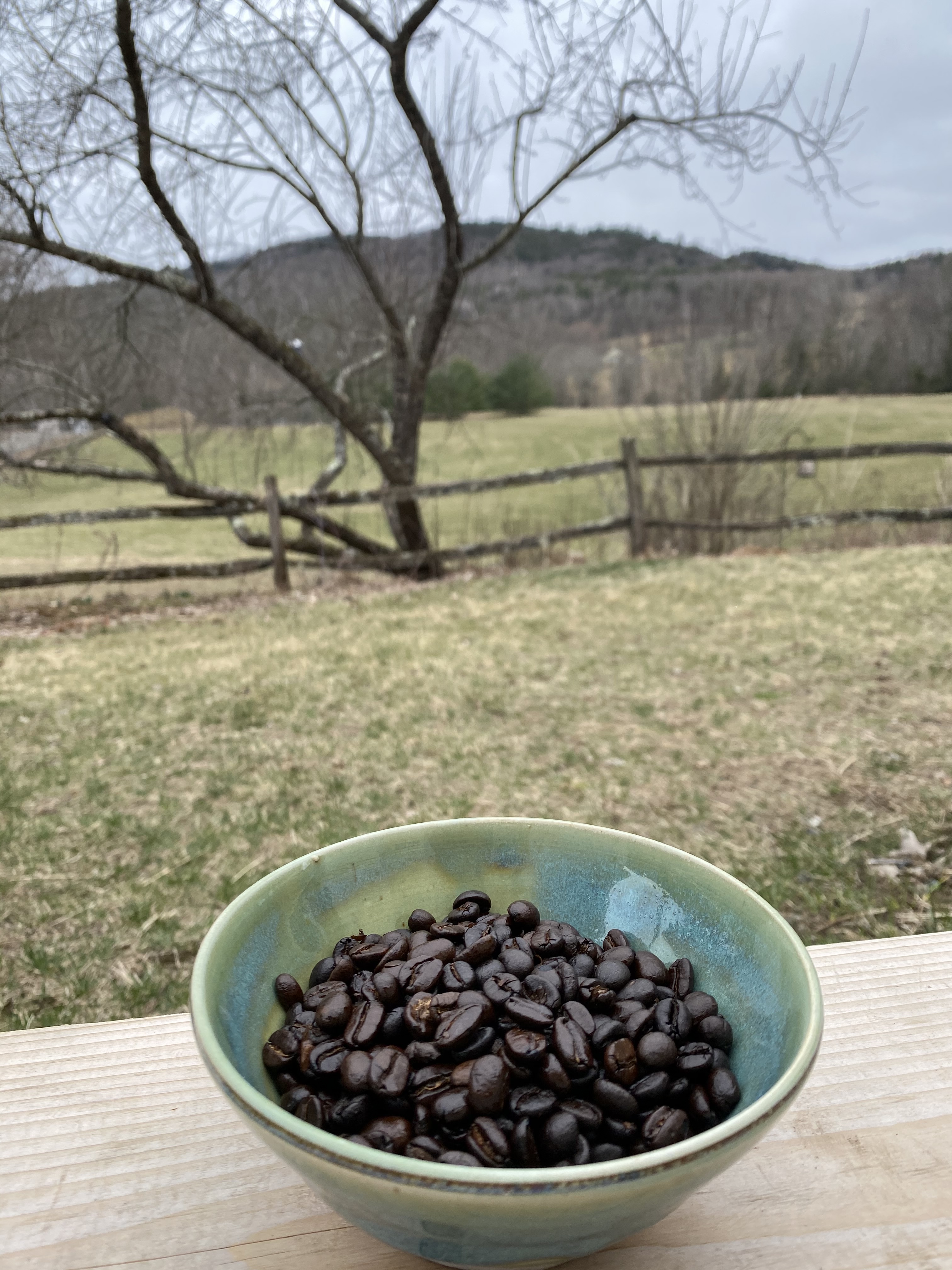 Coffee Sampler Pack