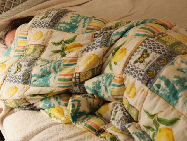 Adult's Weighted Blanket - Image 6